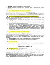 Įvadas į sociologiją konspektas 5 puslapis