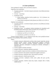 Tarptautinis krovinių vežimas 11 puslapis