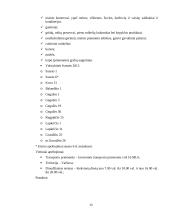 Tarptautinis krovinių vežimas 13 puslapis