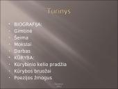 Pristatymas apie Maironį 2 puslapis