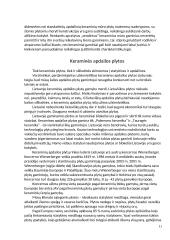 Keraminės plytos 12 puslapis