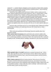 Keraminės plytos 13 puslapis