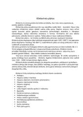 Keraminės plytos 15 puslapis