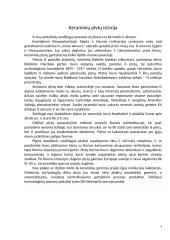 Keraminės plytos 4 puslapis