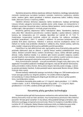 Keraminės plytos 7 puslapis