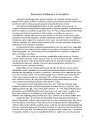 Keraminės plytos 10 puslapis