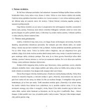 Šeimos struktūra, funkcionavimas, raidos istorija ir šeimos panašumai ir trūkumai 3 puslapis