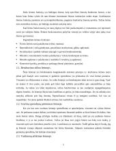 Šeimos struktūra, funkcionavimas, raidos istorija ir šeimos panašumai ir trūkumai 6 puslapis