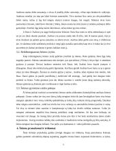 Šeimos struktūra, funkcionavimas, raidos istorija ir šeimos panašumai ir trūkumai 9 puslapis