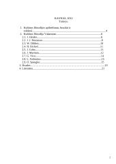 Kultūros filosofija Vakaruose 2 puslapis