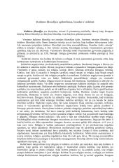 Kultūros filosofija Vakaruose 4 puslapis