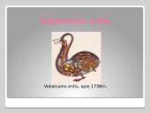 Technikos kuriozai 8 puslapis