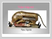 Technikos kuriozai 9 puslapis