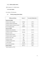 Rąstinių namų statyba, verslo planas 13 puslapis