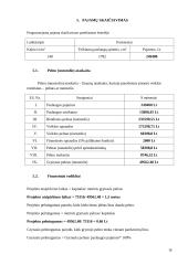 Rąstinių namų statyba, verslo planas 16 puslapis