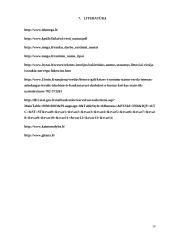 Rąstinių namų statyba, verslo planas 19 puslapis