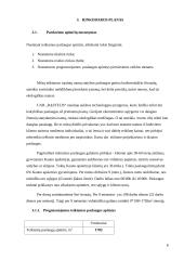 Rąstinių namų statyba, verslo planas 8 puslapis