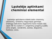 Ląstelė – struktūrinis organizmų vienetas 13 puslapis