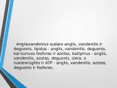 Ląstelė – struktūrinis organizmų vienetas 14 puslapis