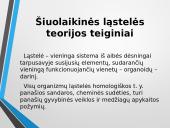 Ląstelė – struktūrinis organizmų vienetas 16 puslapis