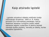 Ląstelė – struktūrinis organizmų vienetas 4 puslapis