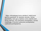 Ląstelė – struktūrinis organizmų vienetas 5 puslapis