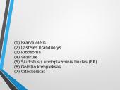 Ląstelė – struktūrinis organizmų vienetas 9 puslapis