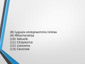 Ląstelė – struktūrinis organizmų vienetas 10 puslapis