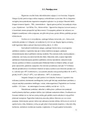 Hospitalinė higiena ir profilaktika 11 puslapis