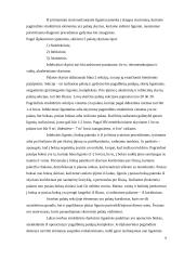 Hospitalinė higiena ir profilaktika 6 puslapis