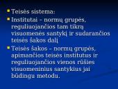 Sveikatos teisė 4 puslapis