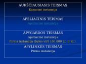 Sveikatos teisė 8 puslapis