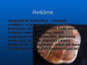 Dvigelžiai moliuskai 2 puslapis