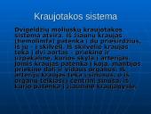 Dvigelžiai moliuskai 3 puslapis