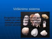 Dvigelžiai moliuskai 6 puslapis