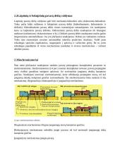 Pavarų dėžės 6 puslapis