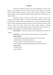 Valiutų kurso rizikos poveikis sandoriams ir jos valdymas 2 puslapis