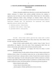 Valiutų kurso rizikos poveikis sandoriams ir jos valdymas 3 puslapis