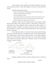 Valiutų kurso rizikos poveikis sandoriams ir jos valdymas 7 puslapis