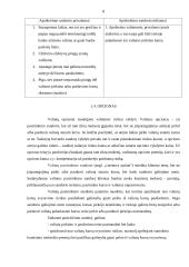 Valiutų kurso rizikos poveikis sandoriams ir jos valdymas 8 puslapis