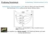 Fruktanų metabolizmas augaluose 11 puslapis