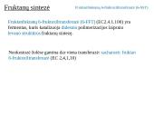 Fruktanų metabolizmas augaluose 13 puslapis