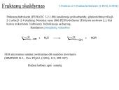 Fruktanų metabolizmas augaluose 14 puslapis