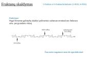 Fruktanų metabolizmas augaluose 15 puslapis
