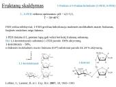 Fruktanų metabolizmas augaluose 16 puslapis