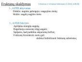 Fruktanų metabolizmas augaluose 17 puslapis