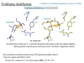 Fruktanų metabolizmas augaluose 18 puslapis