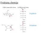 Fruktanų metabolizmas augaluose 4 puslapis