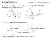 Fruktanų metabolizmas augaluose 9 puslapis
