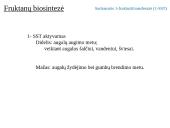 Fruktanų metabolizmas augaluose 10 puslapis